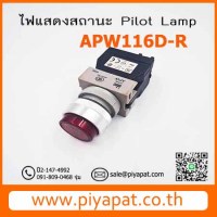 APW116DR รูปโชว์